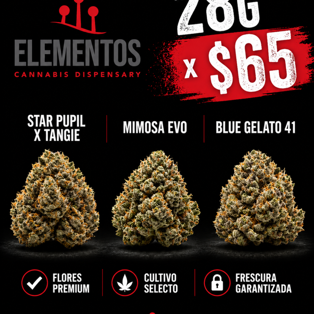 Mostrando PROMO